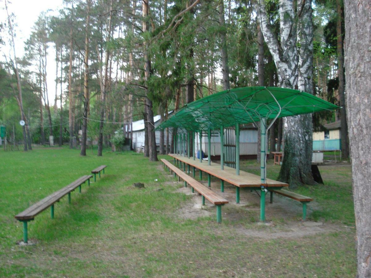 Baza Otdyha Sosnovy Bor Villa Bogorodsk ภายนอก รูปภาพ